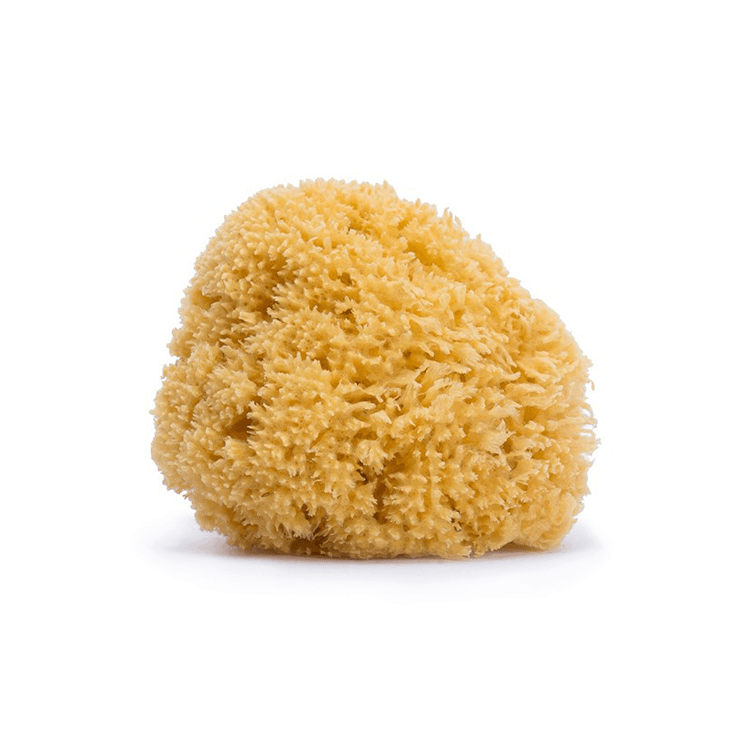 Esponja Infantil Natural Aposan