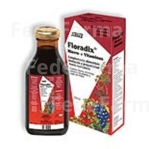 Floradix Elixir 250 ML