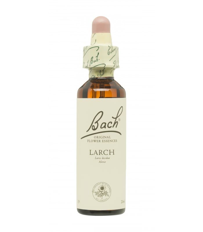 Flores Bach Larch 20 ML