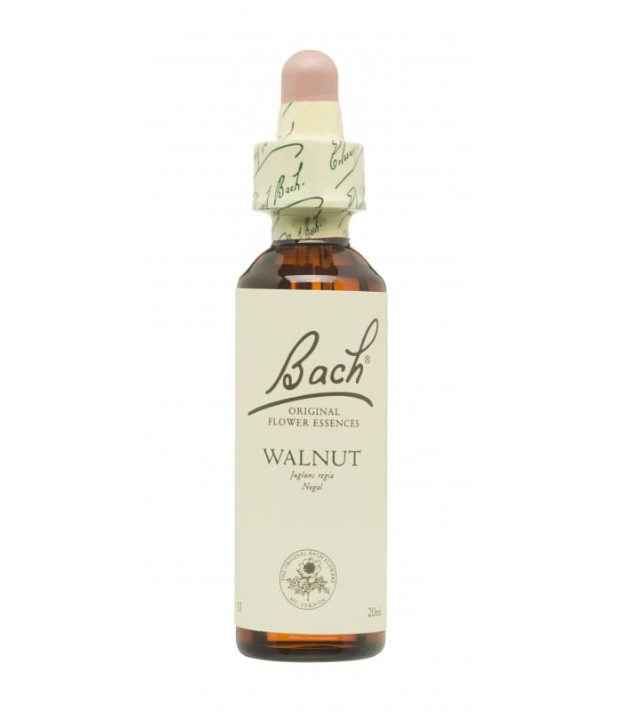 Flores Bach Walnut Nogat 20 ML