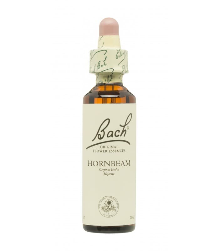 Flores Bach Hornbeam 20 ML