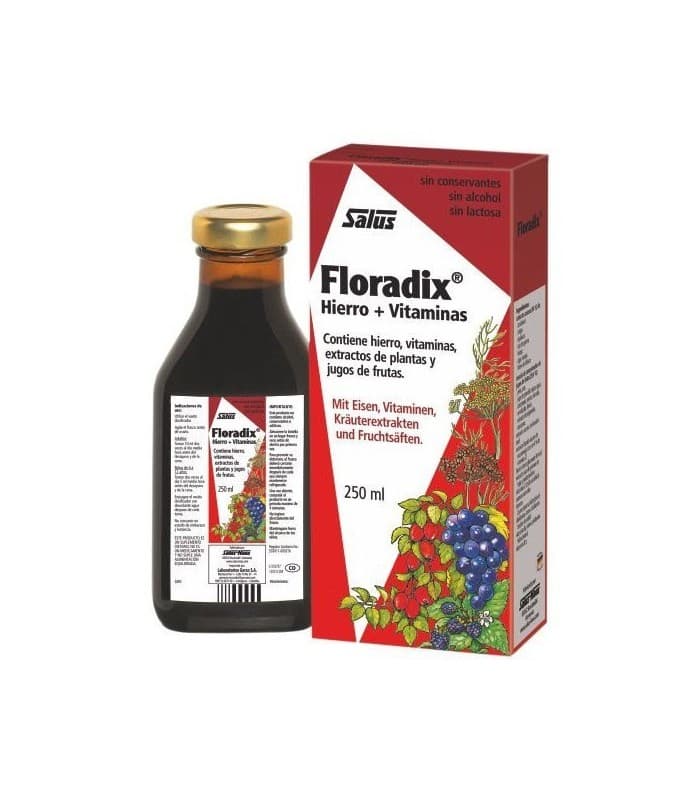 Floradix Floravital 1 Frasco 250 ML