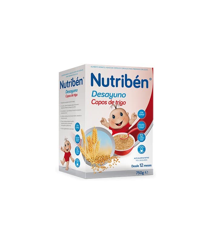 Nutriben Crema de Arroz 1 Envase 300 G