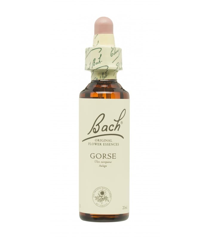 Gorse F.b. 20ml