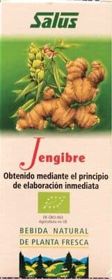 Salus Jugo Jenjibre 200 ML